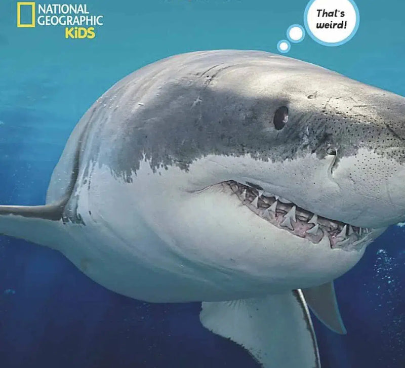 NGK: Weird But True! Sharks-Nonfiction: 動物植物 Animal & Plant-買書書 BuyBookBook