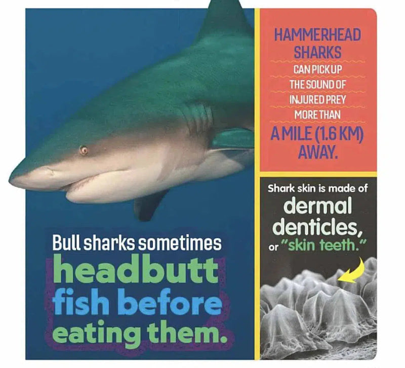 NGK: Weird But True! Sharks-Nonfiction: 動物植物 Animal & Plant-買書書 BuyBookBook