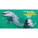 NGK: Weird But True 01: Expanded Edition National Geographic