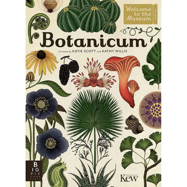 Welcome to the Museum: Botanicum (Kathy Willis)-Nonfiction: 參考百科 Reference & Encyclopedia-買書書 BuyBookBook