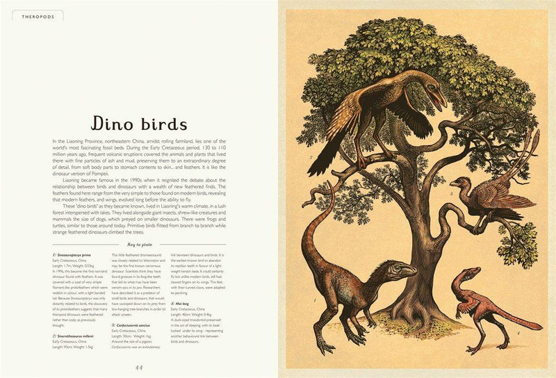 Welcome to the Museum: Dinosaurium (Lily Murray)-Nonfiction: 參考百科 Reference & Encyclopedia-買書書 BuyBookBook