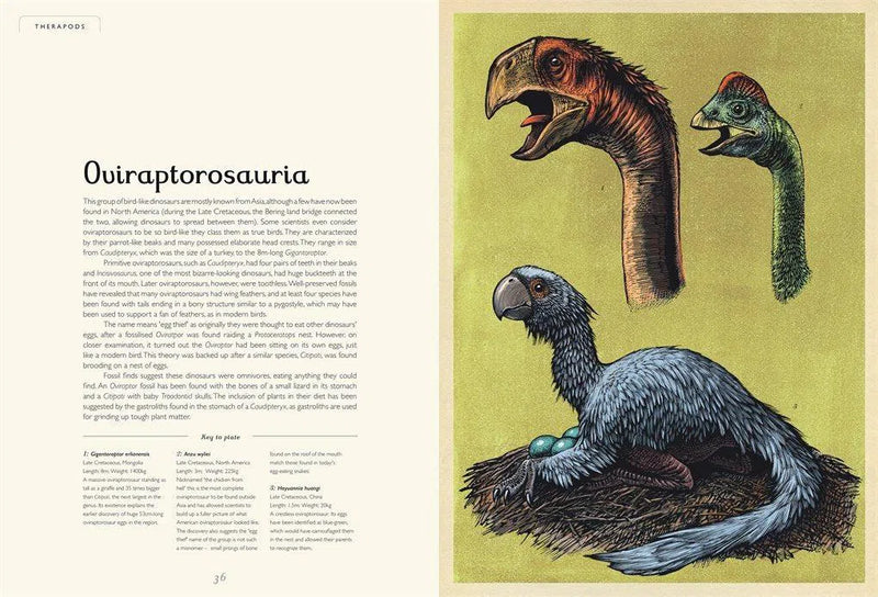 Welcome to the Museum: Dinosaurium (Lily Murray)-Nonfiction: 參考百科 Reference & Encyclopedia-買書書 BuyBookBook