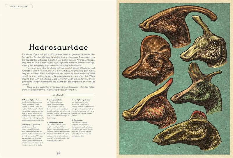 Welcome to the Museum: Dinosaurium (Lily Murray)-Nonfiction: 參考百科 Reference & Encyclopedia-買書書 BuyBookBook