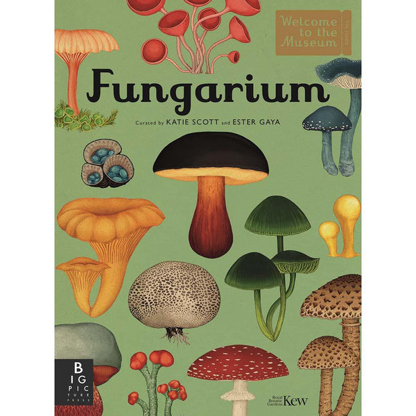 Welcome to the Museum: Fungarium (Ester Gaya)-Nonfiction: 參考百科 Reference & Encyclopedia-買書書 BuyBookBook