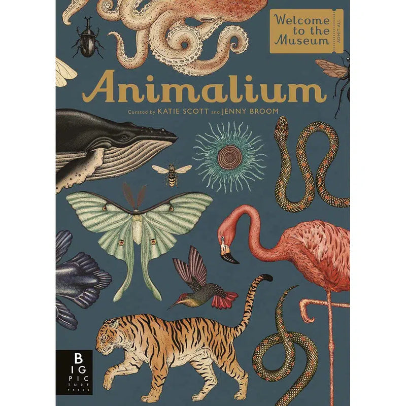 Welcome to the Museum: Animalium (Jenny Broom)-Nonfiction: 參考百科 Reference & Encyclopedia-買書書 BuyBookBook