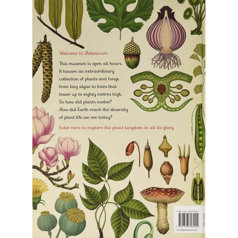 Welcome to the Museum: Botanicum (Kathy Willis)-Nonfiction: 參考百科 Reference & Encyclopedia-買書書 BuyBookBook