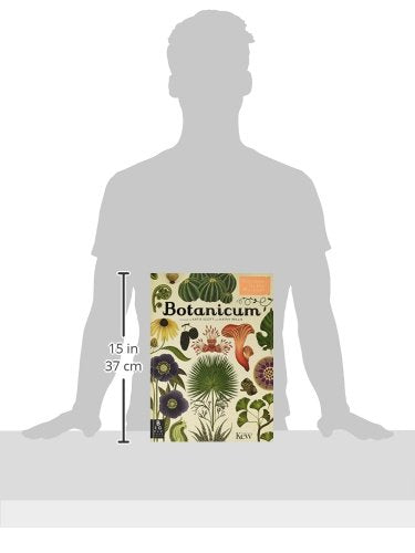 Welcome to the Museum: Botanicum (Kathy Willis)-Nonfiction: 參考百科 Reference & Encyclopedia-買書書 BuyBookBook