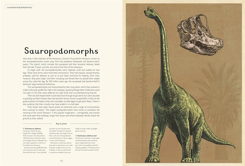 Welcome to the Museum: Dinosaurium (Lily Murray)-Nonfiction: 參考百科 Reference & Encyclopedia-買書書 BuyBookBook