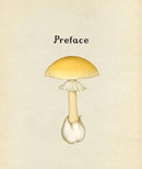 Welcome to the Museum: Fungarium (Ester Gaya)-Nonfiction: 參考百科 Reference & Encyclopedia-買書書 BuyBookBook