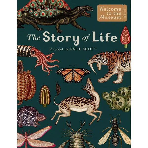 Welcome to the Museum: The Story of Life Evolution (Ruth Symons)-Nonfiction: 參考百科 Reference & Encyclopedia-買書書 BuyBookBook