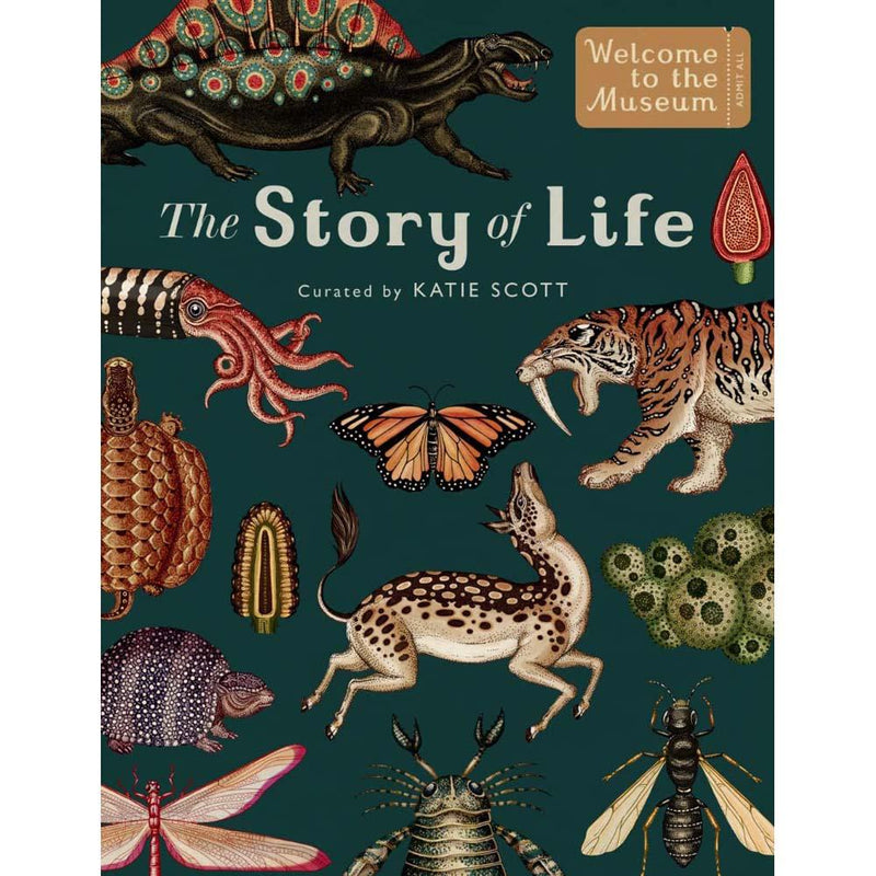 Welcome to the Museum: The Story of Life Evolution (Ruth Symons)-Nonfiction: 參考百科 Reference & Encyclopedia-買書書 BuyBookBook