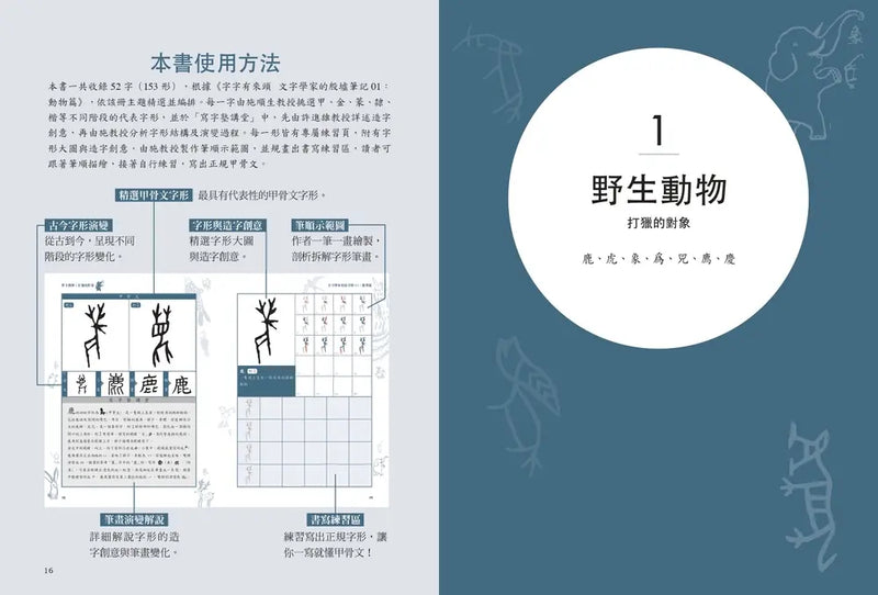 文字學家的寫字塾 一寫就懂甲骨文01：動物篇