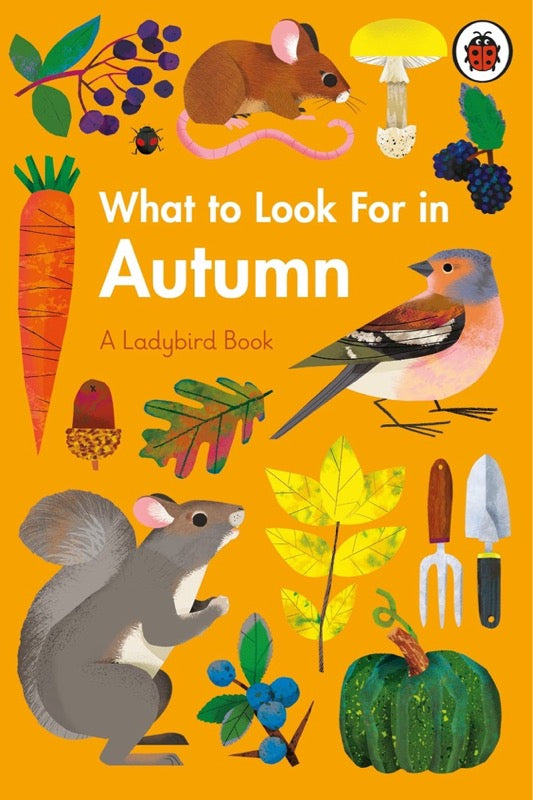 What to Look For in Every Season: A Ladybird Book Boxset - 買書書 BuyBookBook