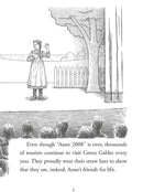 What Is the Story of Anne of Green Gables?-Fiction: 經典傳統 Classic & Traditional-買書書 BuyBookBook