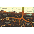 What's Inside A Flower? And Other Questions about Science... (Hardback) PRHUS