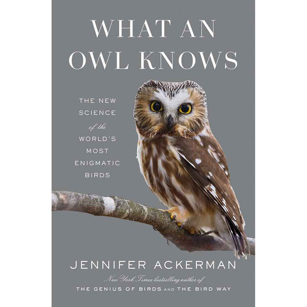 What an Owl Knows-Nonfiction: 參考百科 Reference & Encyclopedia-買書書 BuyBookBook