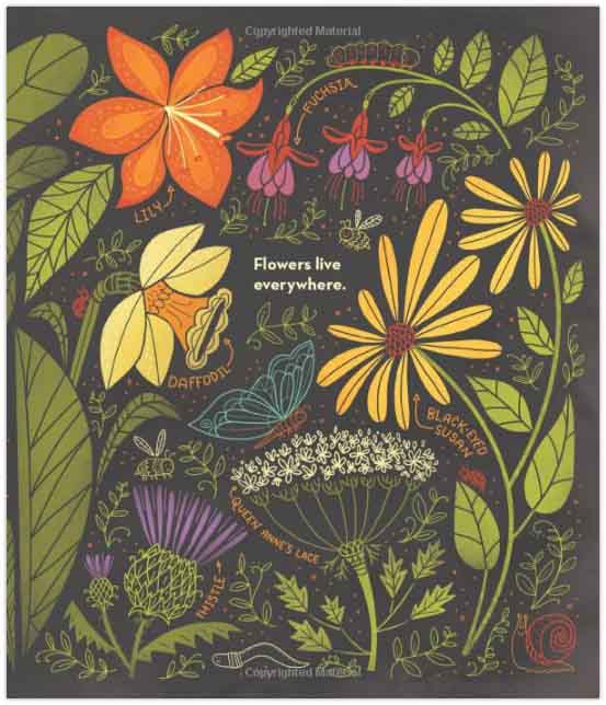 What's Inside A Flower? (Rachel Ignotofsky)-Nonfiction: 動物植物 Animal & Plant-買書書 BuyBookBook