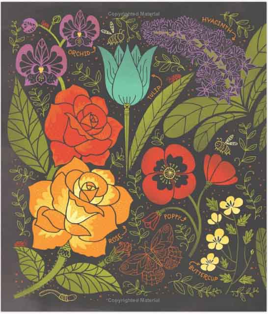 What's Inside A Flower? (Rachel Ignotofsky)-Nonfiction: 動物植物 Animal & Plant-買書書 BuyBookBook