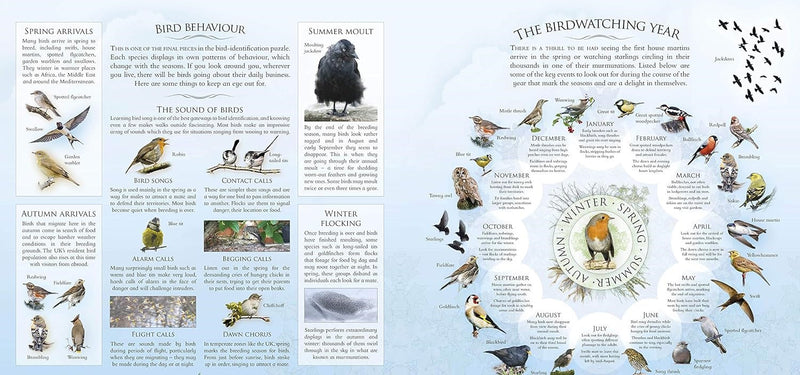 What's That Garden Bird? Birdspotting Wheel and Guide Book (Andrea Pinnington)