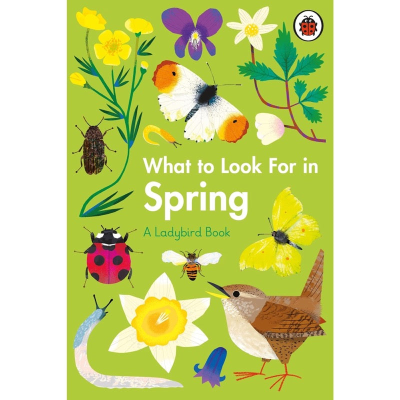 What to Look For in Every Season: A Ladybird Book Boxset - 買書書 BuyBookBook