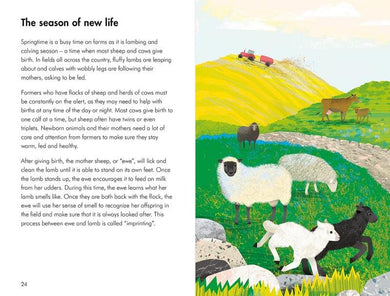 What to Look For in Every Season: A Ladybird Book Boxset - 買書書 BuyBookBook