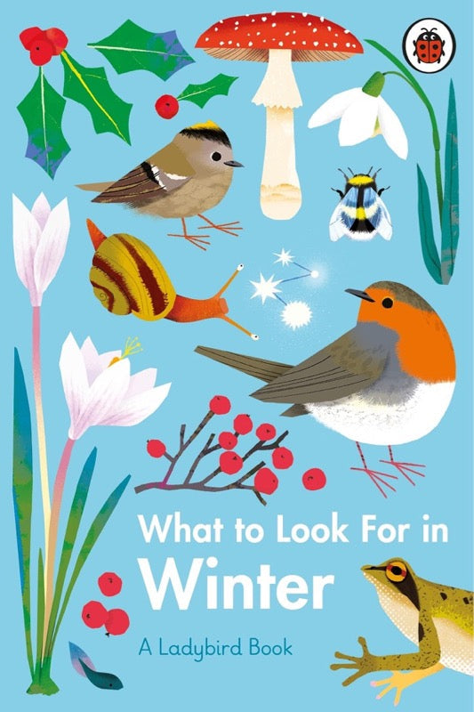 What to Look For in Every Season: A Ladybird Book Boxset - 買書書 BuyBookBook