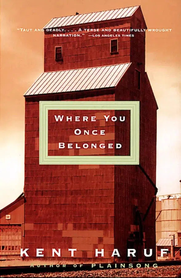 Where You Once Belonged-Fiction: general and literary-買書書 BuyBookBook