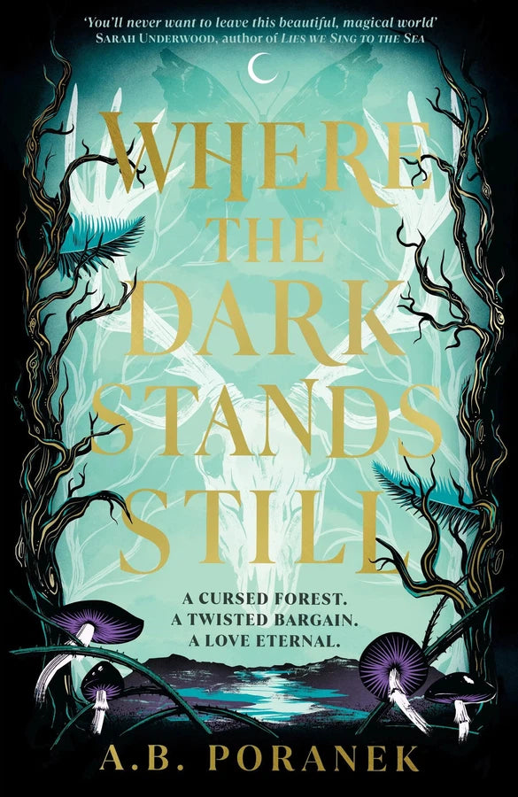 Where the Dark Stands Still-Children’s / Teenage fiction: Fantasy romance-買書書 BuyBookBook