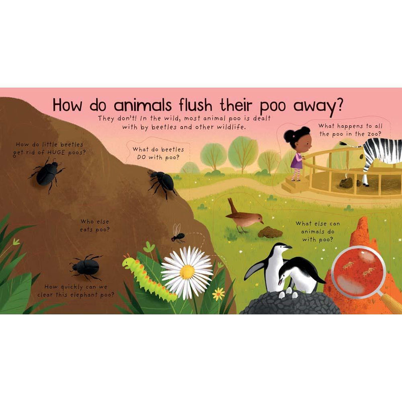 Where Does Poo Go? Usborne