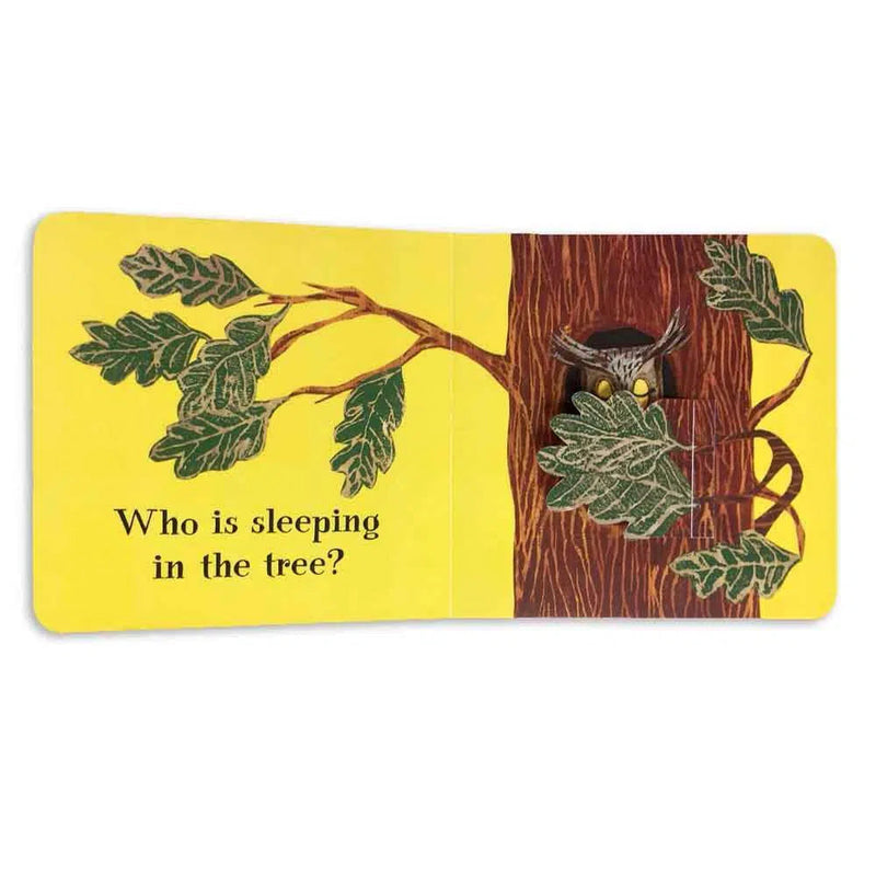 Who Is Sleeping? (Board Book) Walker UK