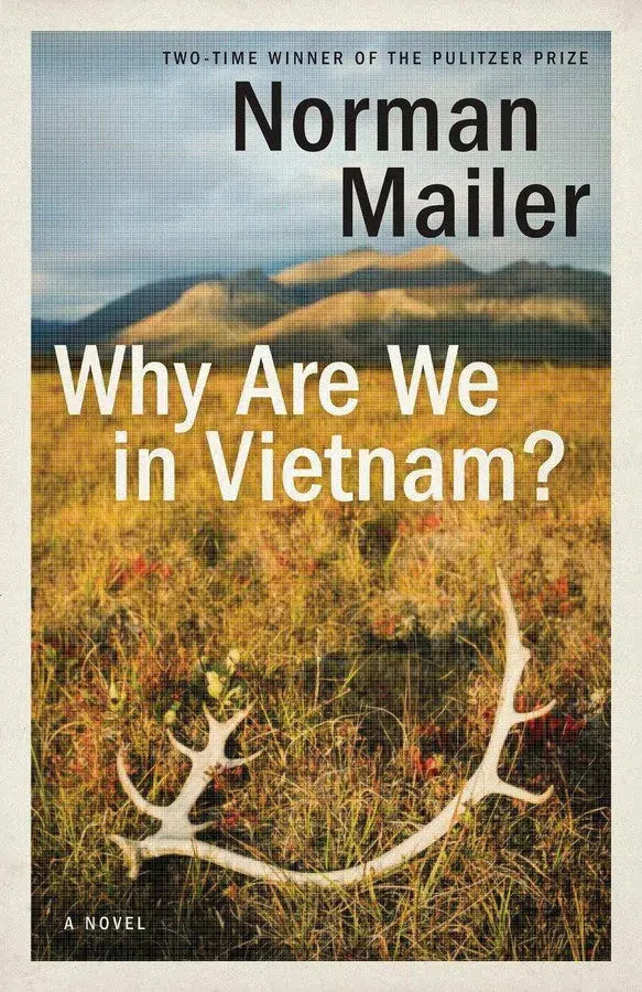 Why Are We in Vietnam?-Fiction: Adventure / action / war-買書書 BuyBookBook