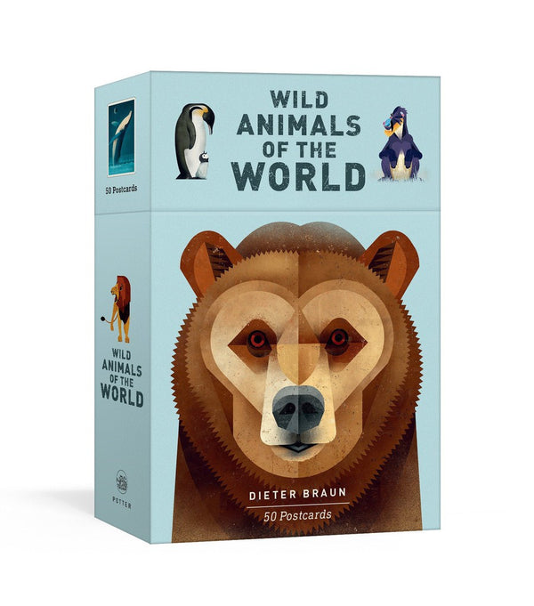 Wild Animals of the World: 50 Postcards-Nature and the natural world: general interest-買書書 BuyBookBook