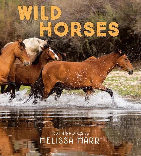 Wild Horses-Children’s / Teenage fiction: Nature and animal stories-買書書 BuyBookBook