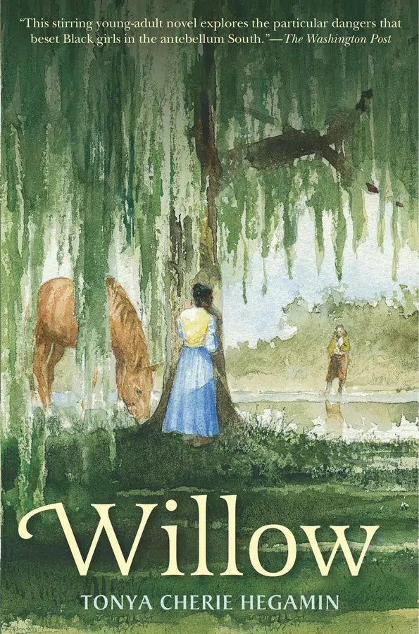 Willow-Children’s / Teenage fiction: General and modern fiction-買書書 BuyBookBook