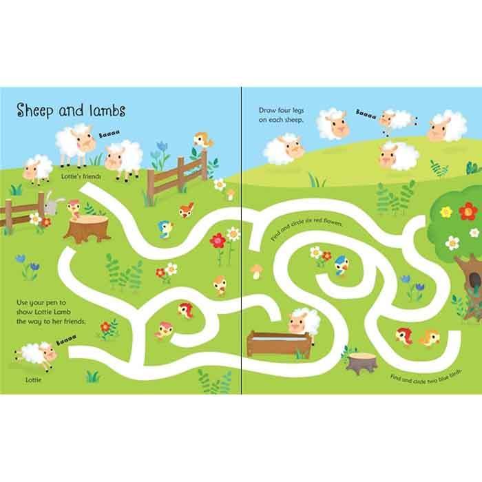 Usborne Wipe-clean Farm Activities Usborne