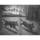 Wonderstruck (Hardback) Scholastic UK