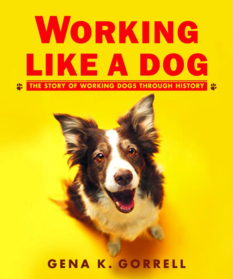 Working Like a Dog-Children’s / Teenage general interest: Nature and animals-買書書 BuyBookBook