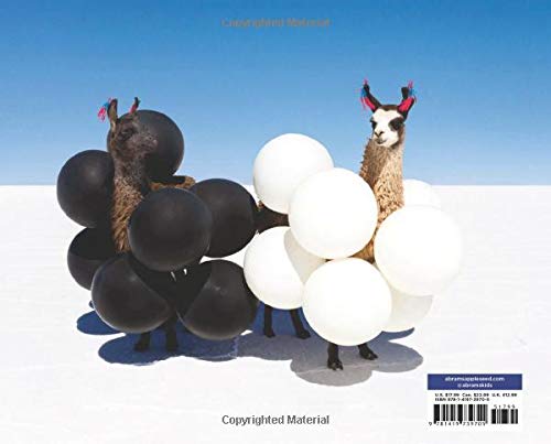 World of Opposites, A (Hardback) - 買書書 BuyBookBook