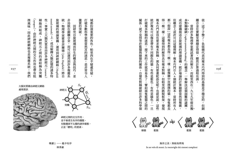 無序之美：與椋鳥齊飛【諾貝爾物理學獎Parisi解開複雜系統的八堂思辨課】-非故事: 人物傳記 Biography-買書書 BuyBookBook