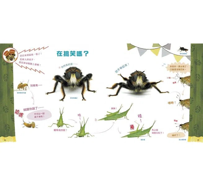 小昆蟲大舞臺-非故事: 動物植物 Animal & Plant-買書書 BuyBookBook