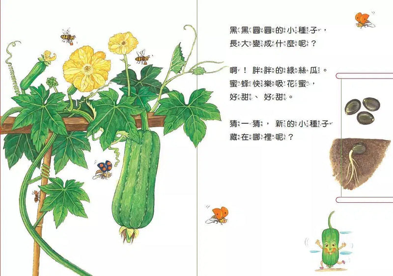 小種子，快長大(蔬菜篇)-買書書 BuyBookBook