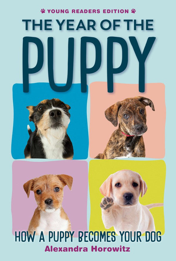 Year of the Puppy-Children’s / Teenage general interest: Pets and pet care-買書書 BuyBookBook