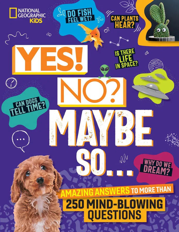 Yes! No? Maybe So...-Children’s / Teenage general interest: General knowledge and interesting facts-買書書 BuyBookBook