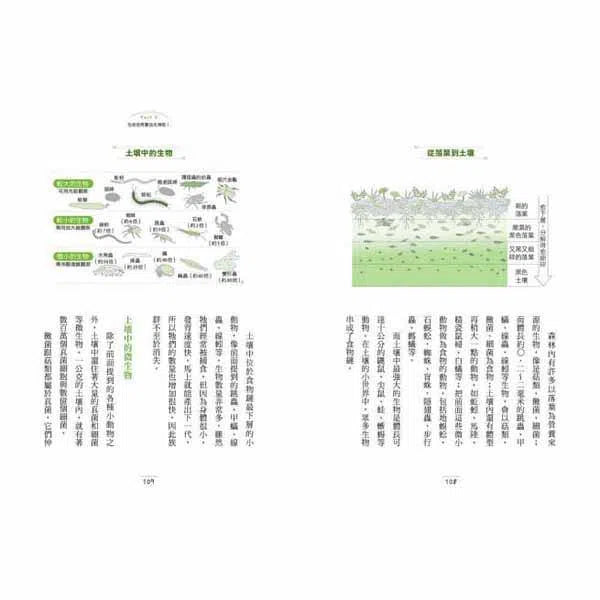 有趣到睡不著的自然科學 - 沒有芯的蠟燭也能燒 ?-非故事: 科學科技 Science & Technology-買書書 BuyBookBook