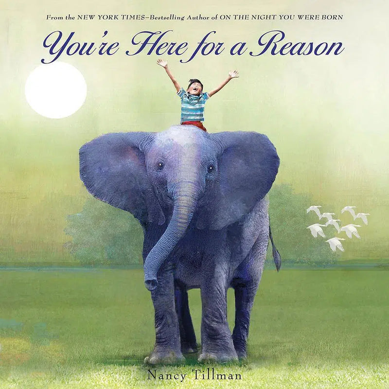 You're Here for a Reason (Board book) Macmillan US