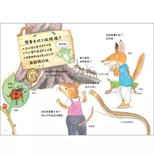 雨蛙生態旅行團：地下探險之旅 (松岡達英)-故事: 兒童繪本 Picture Books-買書書 BuyBookBook