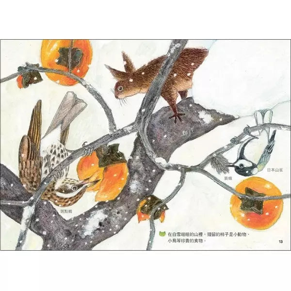 雨蛙生態旅行團：雪地冒險之旅 (松岡達英)-故事: 兒童繪本 Picture Books-買書書 BuyBookBook