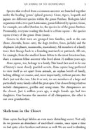 Yuval Noah Harari Box Set (Yuval Noah Harari) - 買書書 BuyBookBook