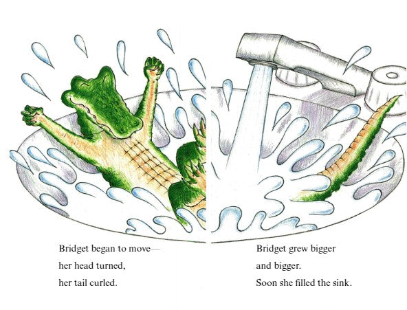 ICR: Zack's Alligator (I Can Read! L2)-Fiction: 橋樑章節 Early Readers-買書書 BuyBookBook