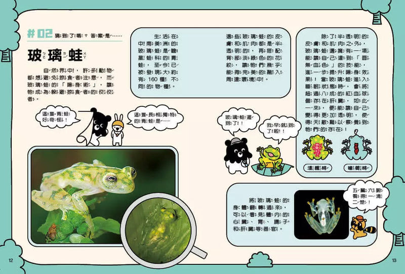 章魚熊的動物觀察筆記：外形篇-非故事: 常識通識 General Knowledge-買書書 BuyBookBook